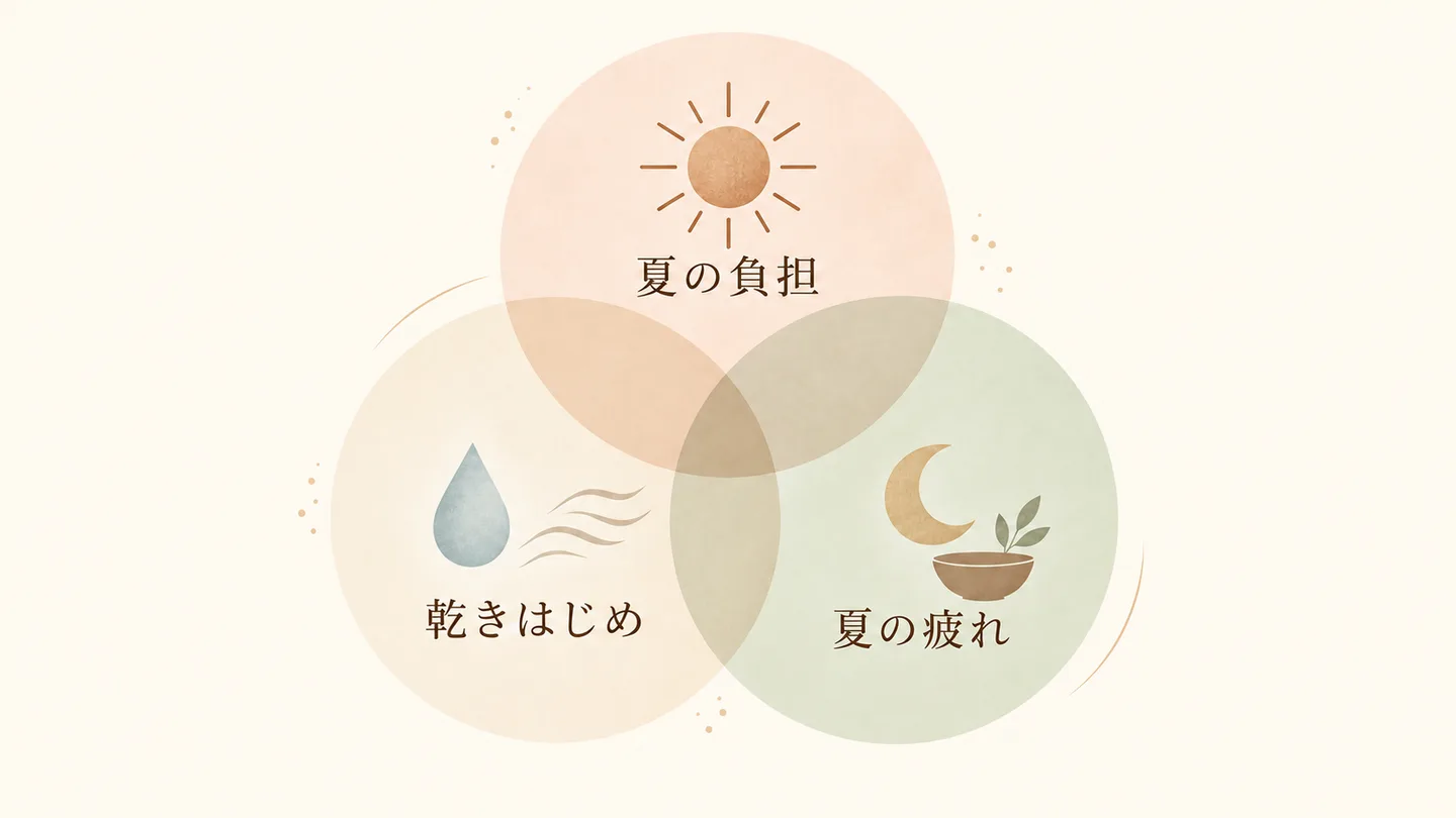 夏の負担・乾きはじめ・夏の疲れの3つが9月後半に重なることを表した図